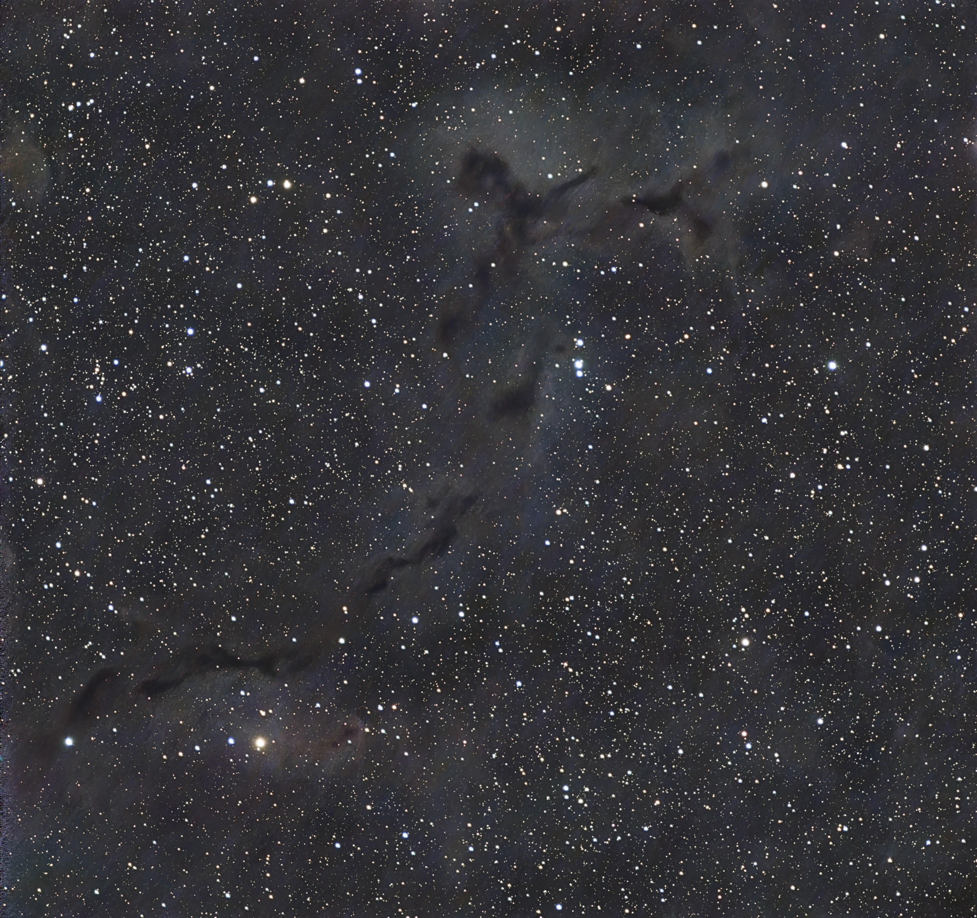 Seepferdchen Nebel, Barnard 150 ist ein Dunkelnebel im Sternbild Kepheus.